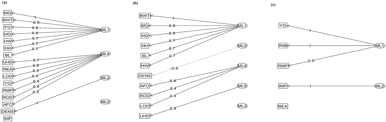 Factor analysis diagrams linking heifer phenotypes to latent body size, body composition, ovary size and yield grade traits
