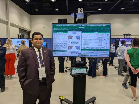 Poster, ASAS Annual Meeting doctoral competition, July 2024